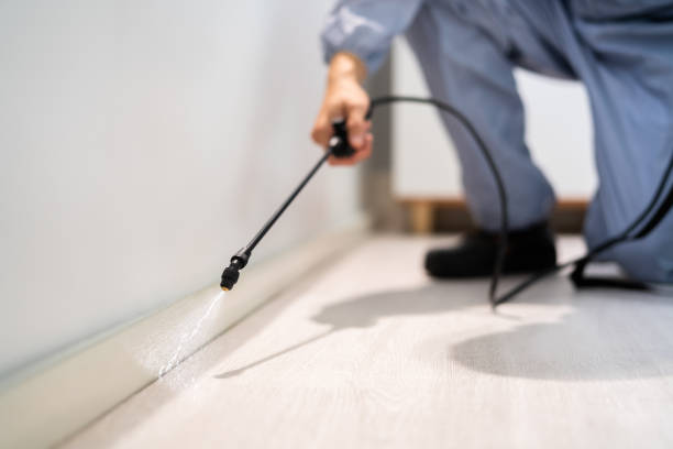 Bed Bug Pre-Treatment Preparation Assessment in Parsons