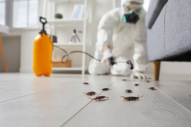 Post-Treatment Bed Bug Interceptor Monitoring in Parsons