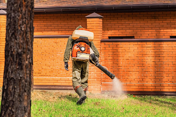 Bed Bug Clearance Verification and Documentation in Parsons